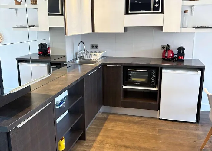 公寓 Cap D Terrasse Climatisation Et Parking 昂蒂布